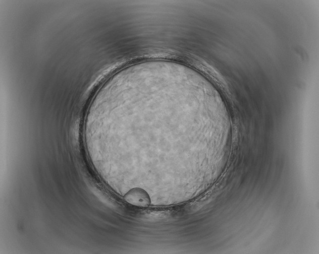 X0000113050155200909241502