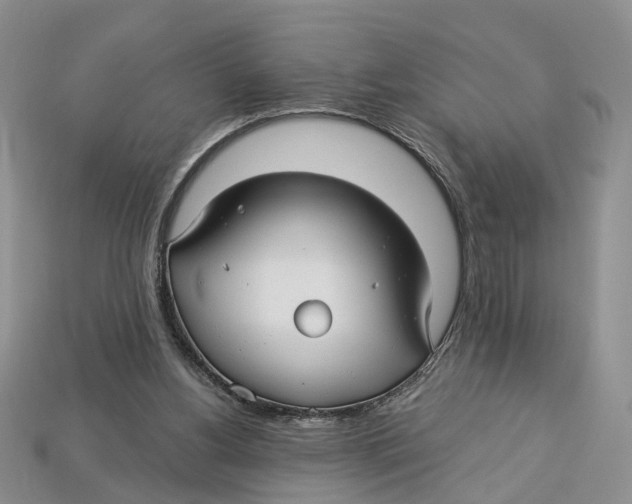 X0000113050156200909241502