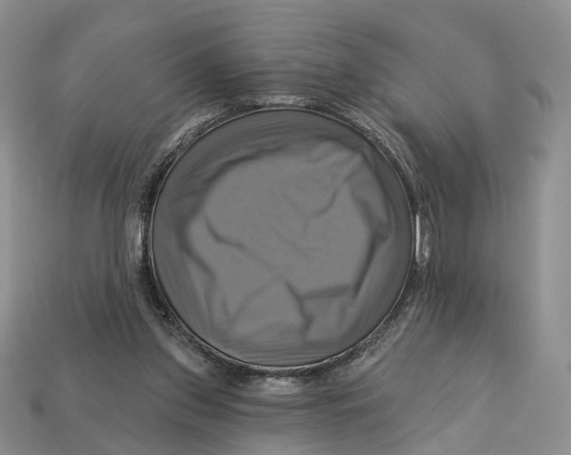 X0000113050157200909241502