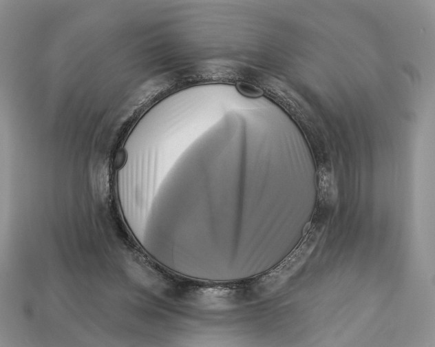 X0000113050158200909241502