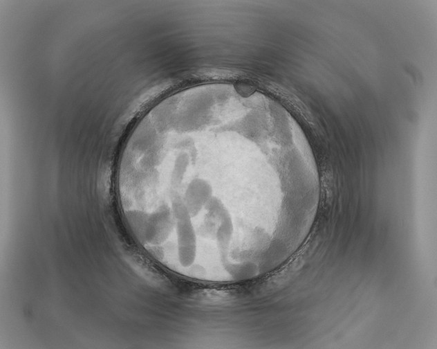 X0000113050159200909241502