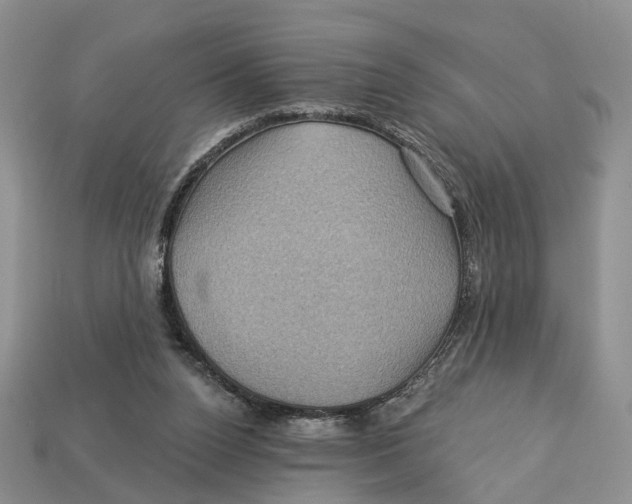 X0000113050160200909241502