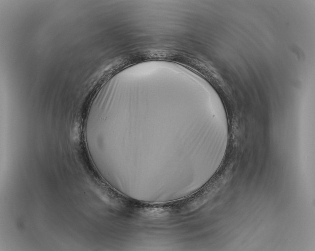 X0000113050161200909241502