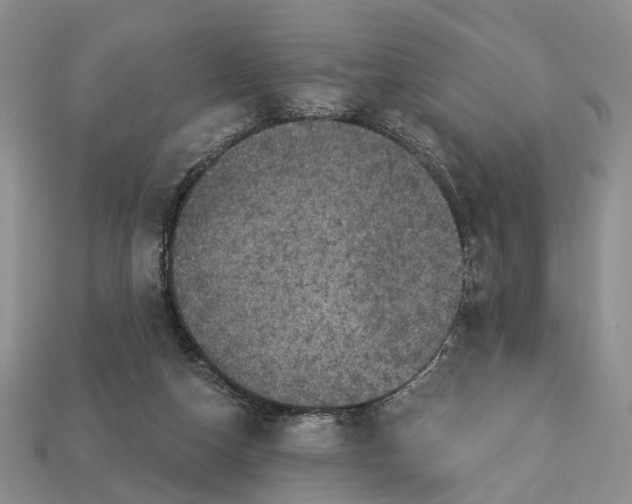 X0000113050162200909241502