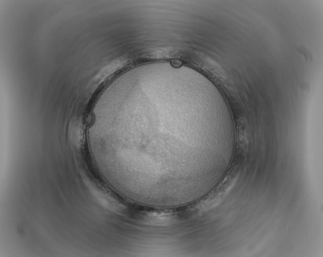 X0000113050164200909241502