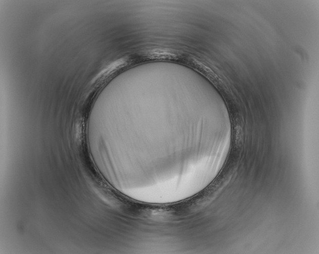 X0000113050165200909241502