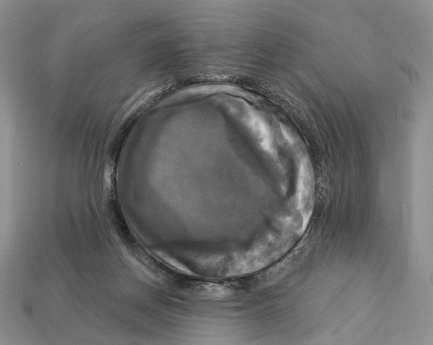 X0000113050166200909241502