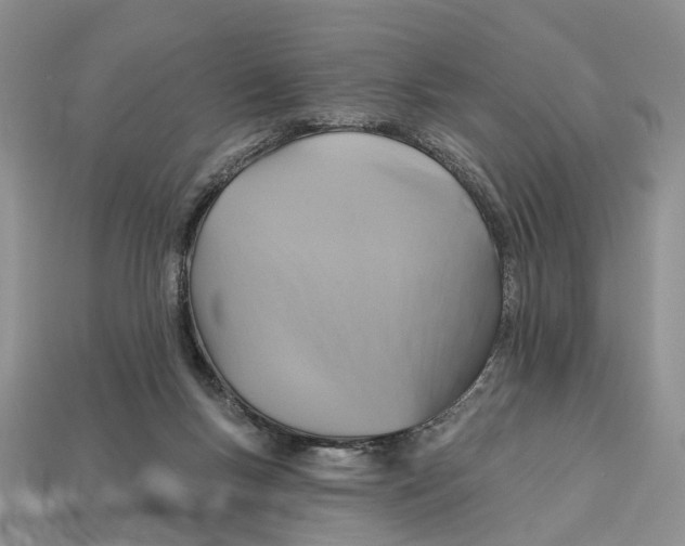 X0000113050167200909241502