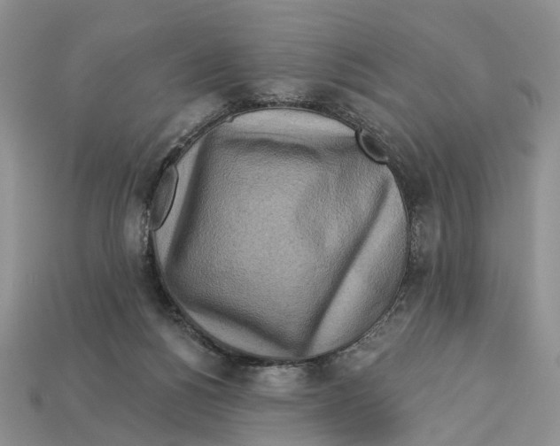 X0000113050168200909241502
