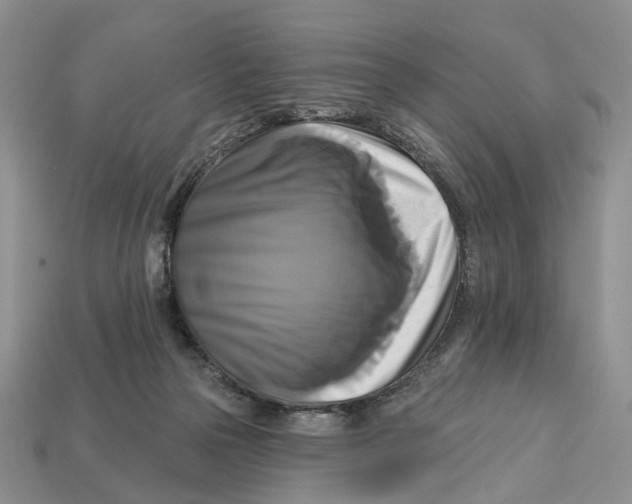 X0000113050169200909241502