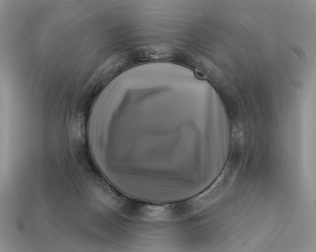 X0000113050170200909241502