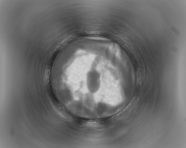 X0000113050171200909241502