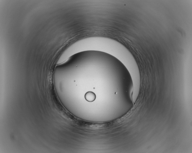 X0000113050172200909241502