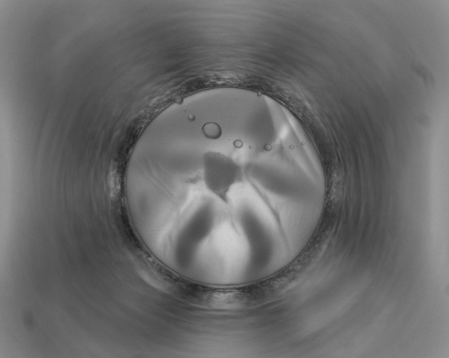 X0000113050173200909241502