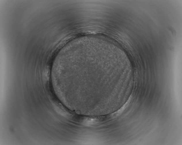 X0000113050174200909241502