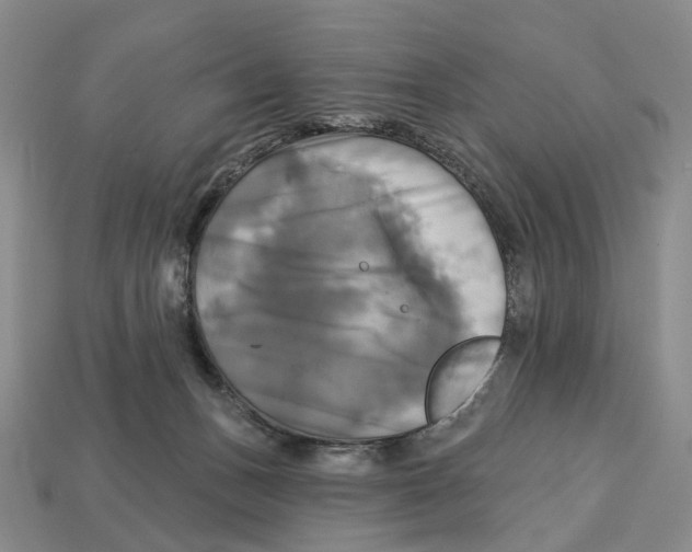 X0000113050175200909241502