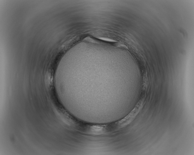 X0000113050176200909241502