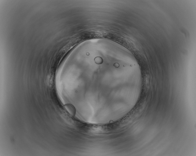 X0000113050177200909241502