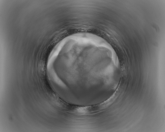 X0000113050178200909241502