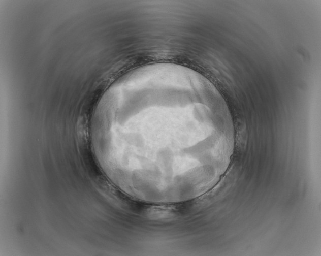 X0000113050179200909241502