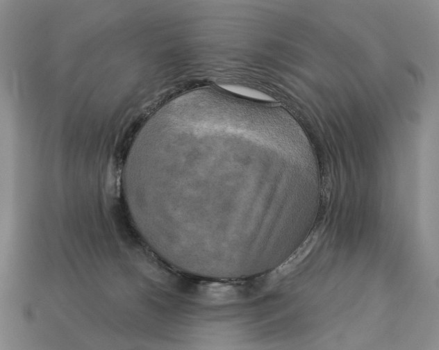 X0000113050180200909241502