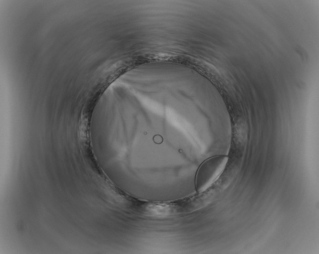 X0000113050181200909241502