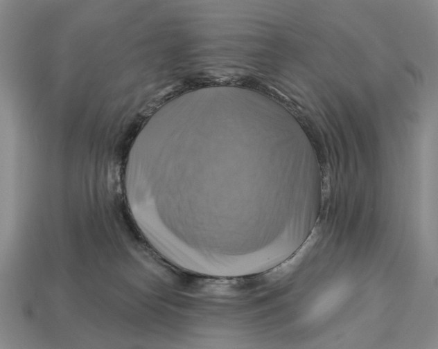 X0000113050182200909241502