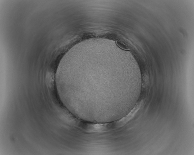 X0000113050184200909241503