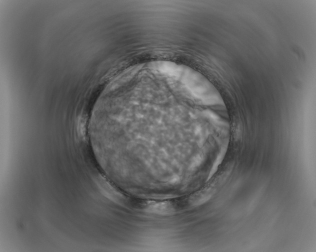 X0000113050185200909241503