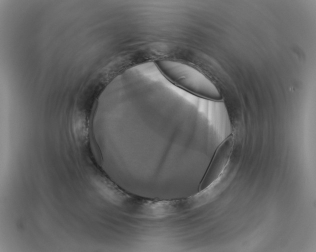X0000113050186200909241503