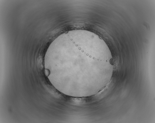 X0000113050187200909241503