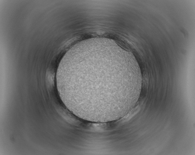 X0000113050188200909241503