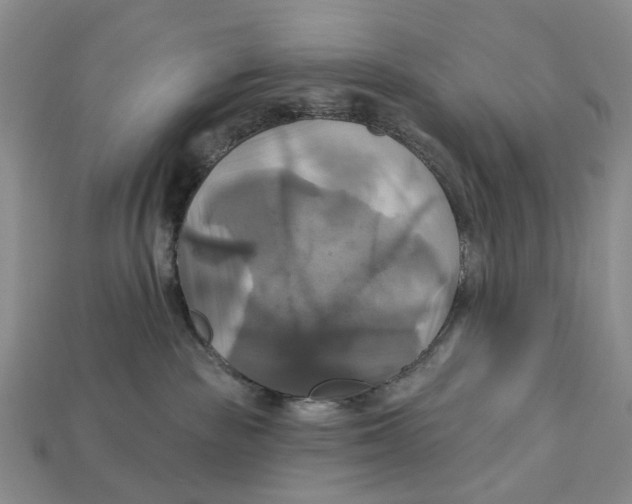 X0000113050189200909241503