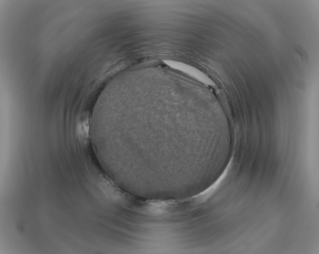 X0000113050190200909241503