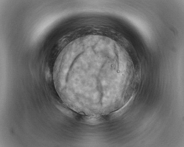 X0000113050191200909241503