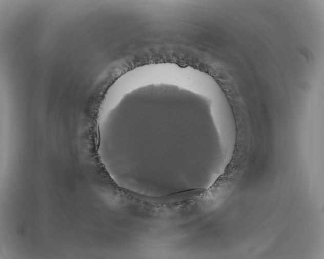 X0000113050192200909241503