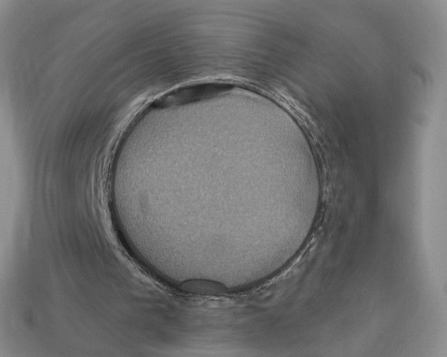 X0000113050193200909241502