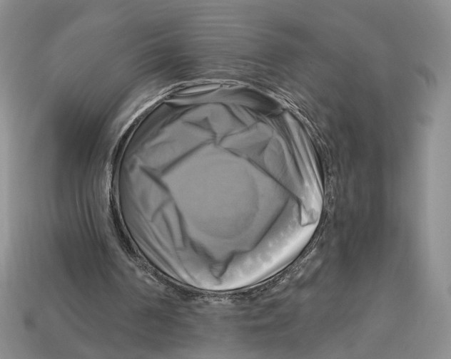 X0000113050194200909241502