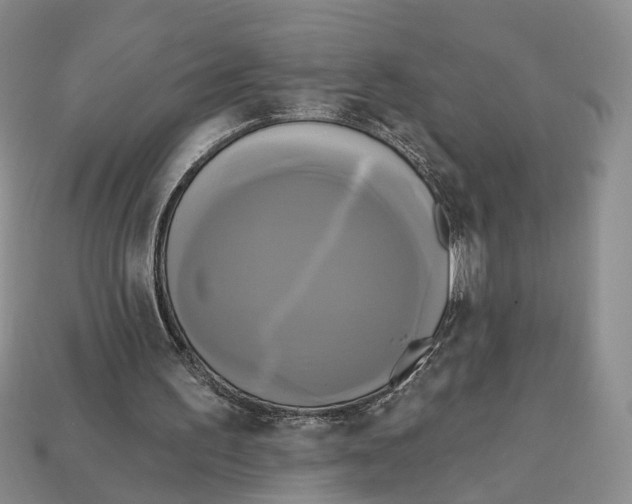 X0000113050195200909241502