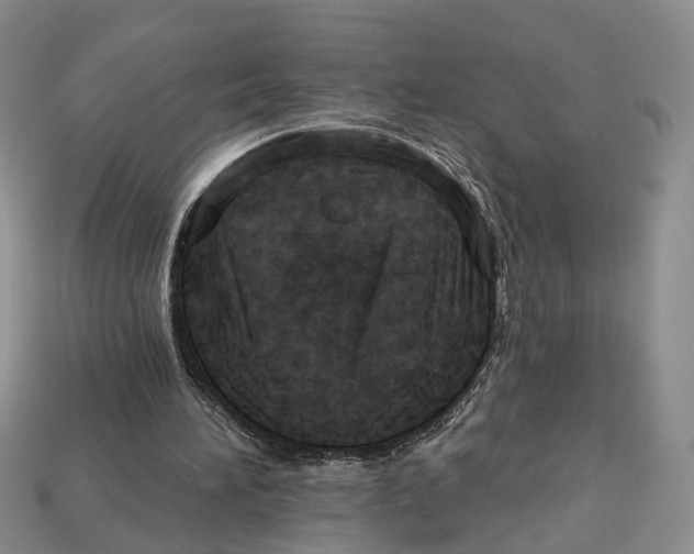 X0000113050196200909241502