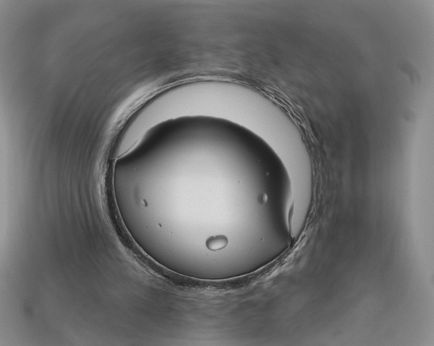 X0000113050197200909241502