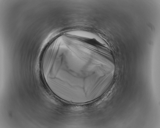 X0000113050198200909241502