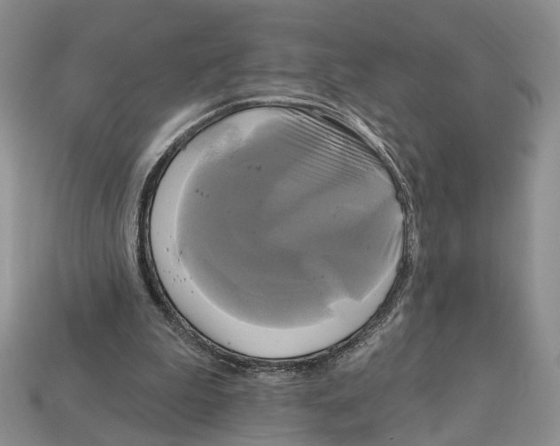 X0000113050199200909241502