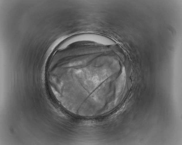 X0000113050200200909241502