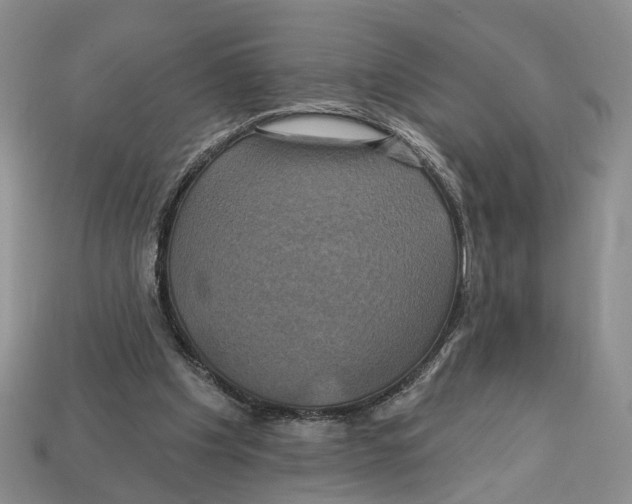 X0000113050201200909241502