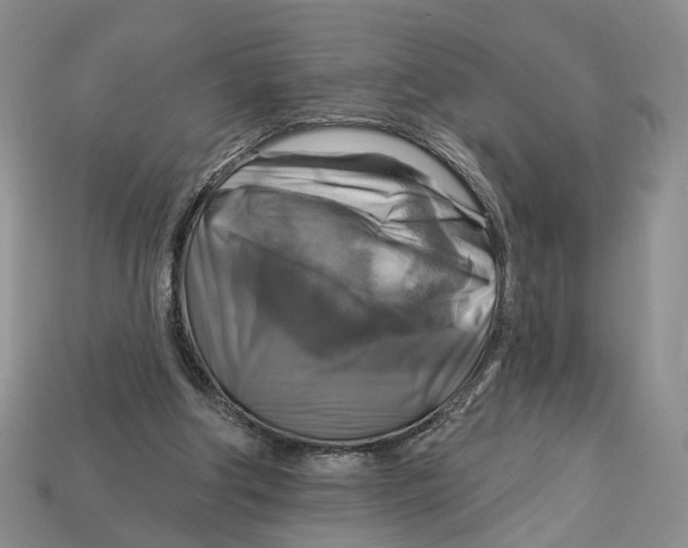 X0000113050202200909241502