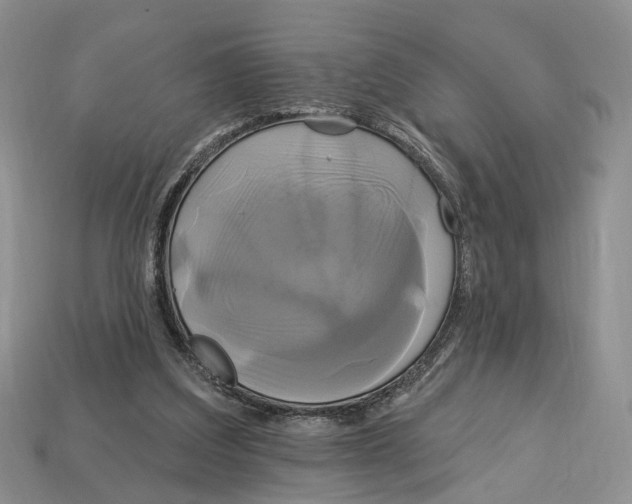 X0000113050203200909241502