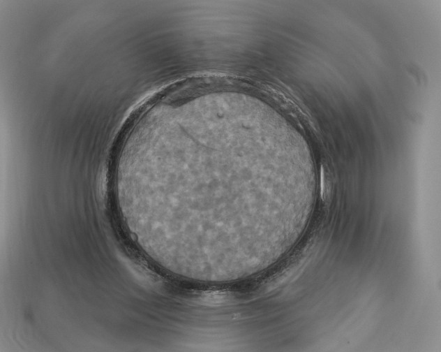 X0000113050204200909241502
