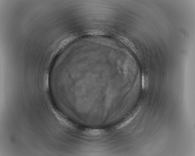X0000113050205200909241502
