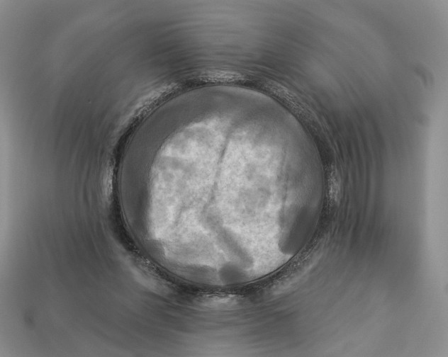 X0000113050206200909241502